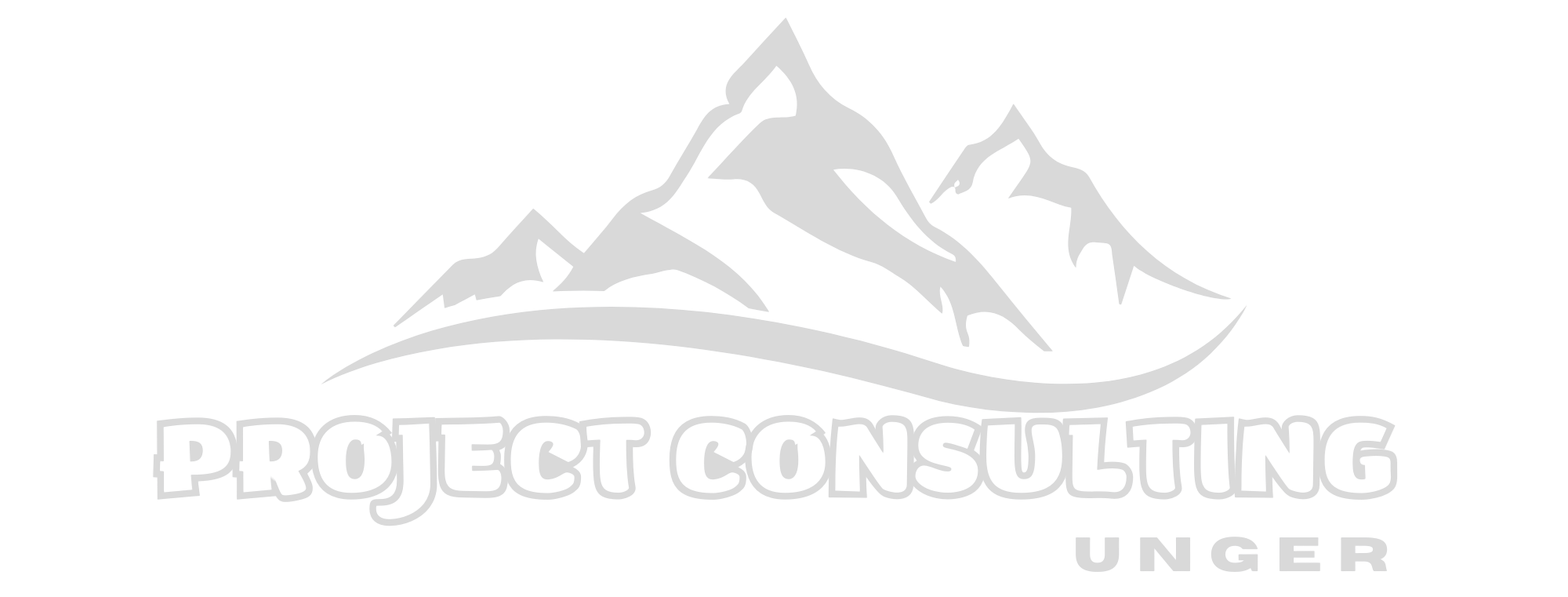 Project Consulting